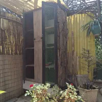 گنجه کبوتر