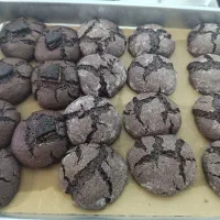 کوکی