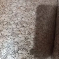 تخم کدو|خوردنی و آشامیدنی|پادنا, |دیوار