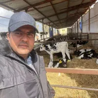 جیره‌نویسی تخصصی گاو و گوسفند با ۱۵ سال تجربه|خدمات پیشه و مهارت|تربت جام, پاسداران|دیوار