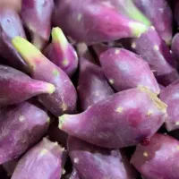 میوه کاکتوس