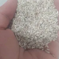برنج دخل  هاشمی
