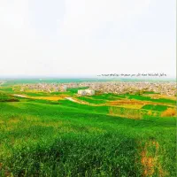 زمین-خالی-انتهای-ولی-عصر16