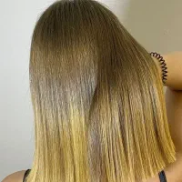 مدل پروتئین فقط هزینه مواد