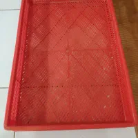 سبد