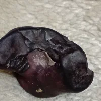 سیانابار یا سنگ جیوه و یاقوت کبود