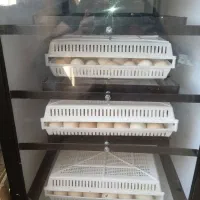 دستگاه جوجه کشی دورنا 2اسکندری|لوازم جانبی حیوانات|یاسوج, |دیوار