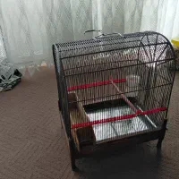 قفس سهره دست ساز|پرنده|رباطکریم, شهرک والفجر|دیوار