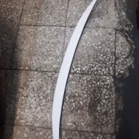 باله روی صندوق تارا