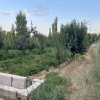 باغ ۱۵۰۰ متر در روستای چناقلو|فروش زمین و ملک کلنگی|نوشین شهر, |دیوار