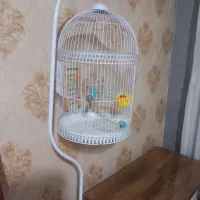 قفس پایه دار
