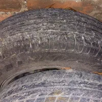 رینک 13شاخه گوزنی|قطعات یدکی و لوازم جانبی|محمدبار, |دیوار