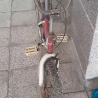 لوستر