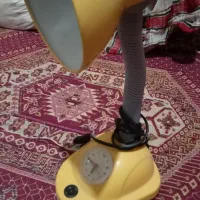 چراغ  مطالعه|لامپ و چراغ|پاسارگاد, |دیوار