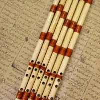 فروش ساز نی در کوک های مختلف