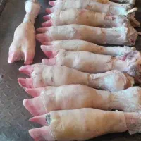 پاچه گوساله درجه ۱|خوردنی و آشامیدنی|اصفهان, سرتاوه|دیوار