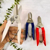 قیچی قند قند شکن