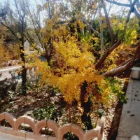 خانه باغ ۳۵۰ متری|فروش خانه و ویلا|اصفهان, براآن شمالی|دیوار