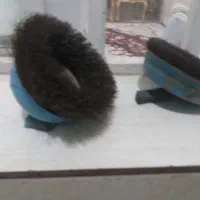 فرچه سیمی