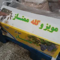 کشمش اعلا