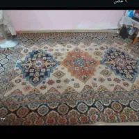 فروش فوری فرش۶متری کاملا سالم وبدون سوختگی