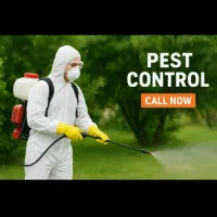 استخدام شرکت