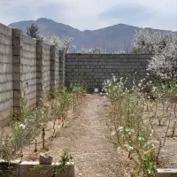 باغ-فروشی