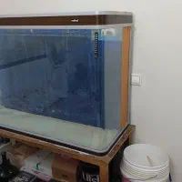 آکواریوم شیشه خم ماهیران بک سامپ|ماهی|قزوین, |دیوار