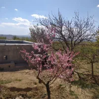 مغازه  در عوارضی زنجان قزوین