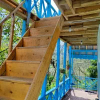 کلبه جنگلی با ویو بینظیر|اجارهٔ کوتاهمدت ویلا و باغ|رشت, باهنر|دیوار