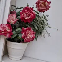 حراج گل و گلدون باهم ۱۵۰ تومن|حراج|قم, آزادگان|دیوار