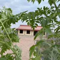 فروش خانه ویلایی/باغ ویلا /۱۰۰ متری در تیمیارت|فروش خانه و ویلا|اصفهان, ردان|دیوار