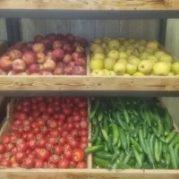 قفسه میوه فروشی