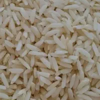 برنج علی کاظمی طارم(درام)