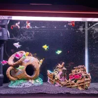 اکواریوم شیشه خم با میز