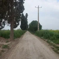 فروش-پنج-هکتار-باغ-با-خانه-باغ
