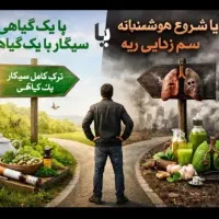 پاکسازی ریه از عفونت و دود تضمینی