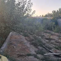 باغ ویلا نقلی خانوادگی|فروش خانه و ویلا|فلاورجان, |دیوار