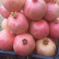 انار لوکس فول کیفیت دون زغالی