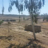 فروش  یا معاوضه زمین|فروش زمین و ملک کلنگی|دوگنبدان, |دیوار