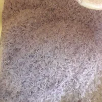 برنج نیم دانه شیروان چرداول خوش عطر