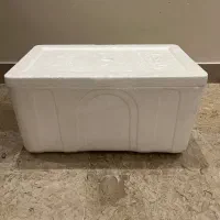 یخچال مسافرتی