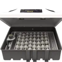 دستگاه جوجه کشی|لوازم جانبی حیوانات|اشتهارد, |دیوار