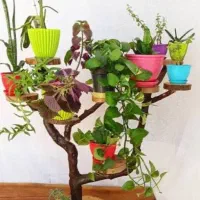 انواع استند و گلدان|حراج|گنبد کاووس, |دیوار