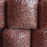 بادام زمینی مغان|خوردنی و آشامیدنی|تهران, ایرانشهر|دیوار