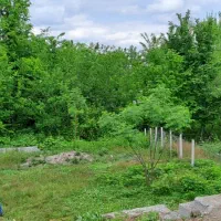 خرید-زمین-شهری-250-به-بالا