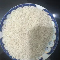 برنج طارم محلی اصل شمال