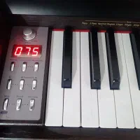 پیانو دیجیتال دایناتون کره|پیانو، کیبورد، آکاردئون|شاهین‌شهر, عطار|دیوار