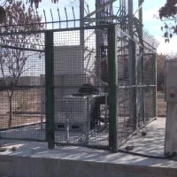 کلیه خدمات جوشکاری سیار حسن اف