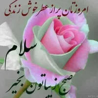 کارت ملی بنام اسمعیل پور گمشده